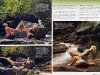 Fit Yoga 004a 4
